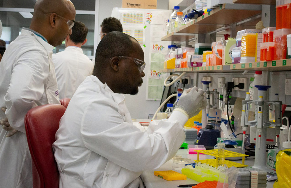 University of Queensland scientists are busy in the lab, as part of an international collaboration to develop a vaccine for the recent coronavirus outbreak. Photo credit: University of Queensland.